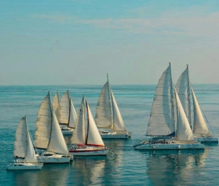  双体船在加勒比海 